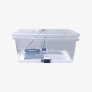 Magical Mushroom Heat Box