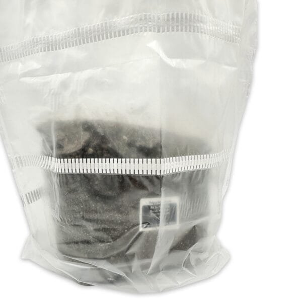 All-In-One Mushbag Kit (4LB) – Instructions Included - Image 5